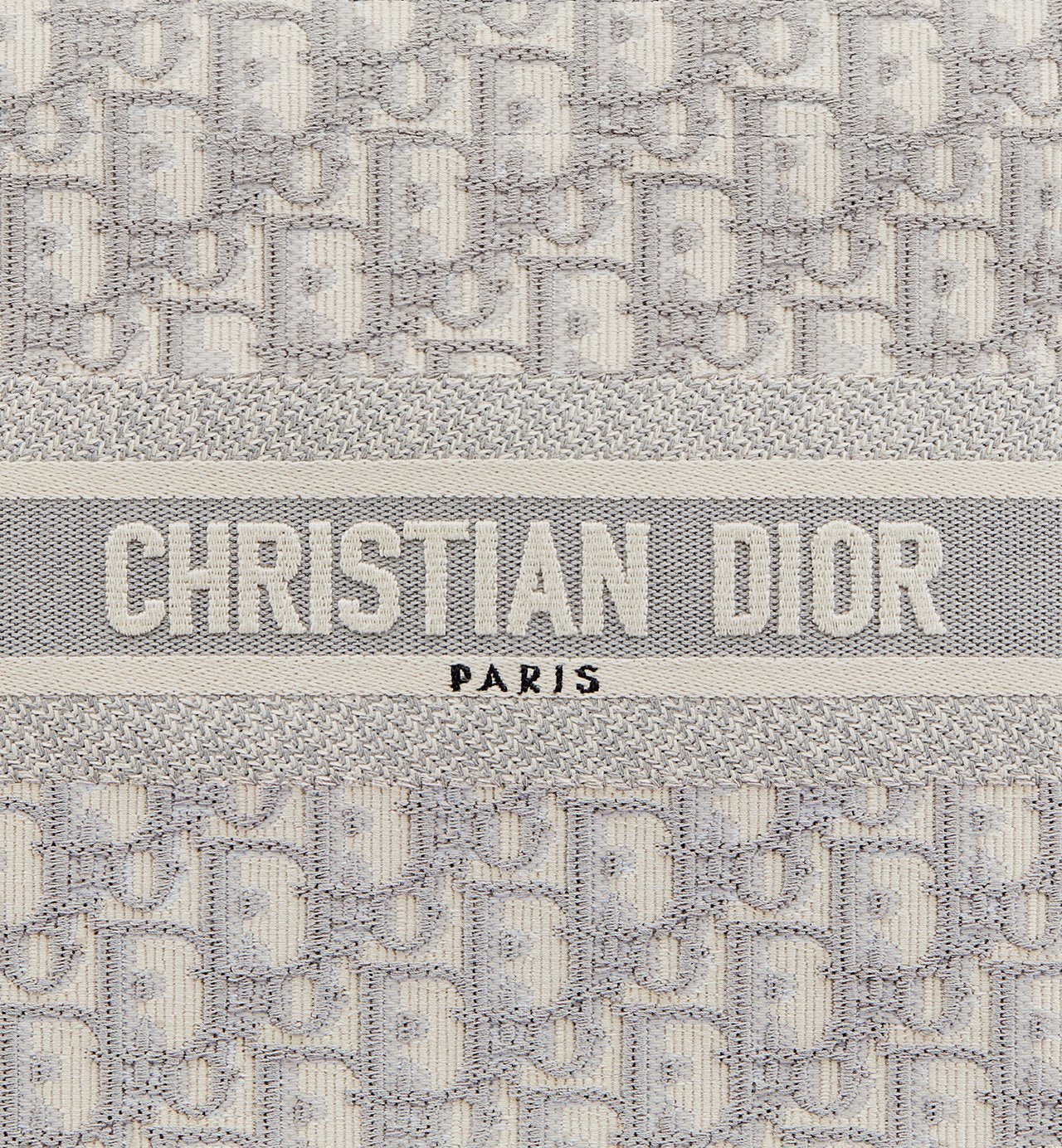 Sac Dior Book Tote Small