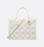 Sac Dior Book Tote Medium