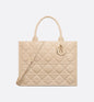 Sac Dior Book Tote Medium
