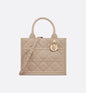 Sac Dior Book Tote Small