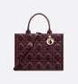 Sac Dior Book Tote Medium
