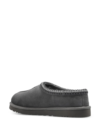 Tasman gris